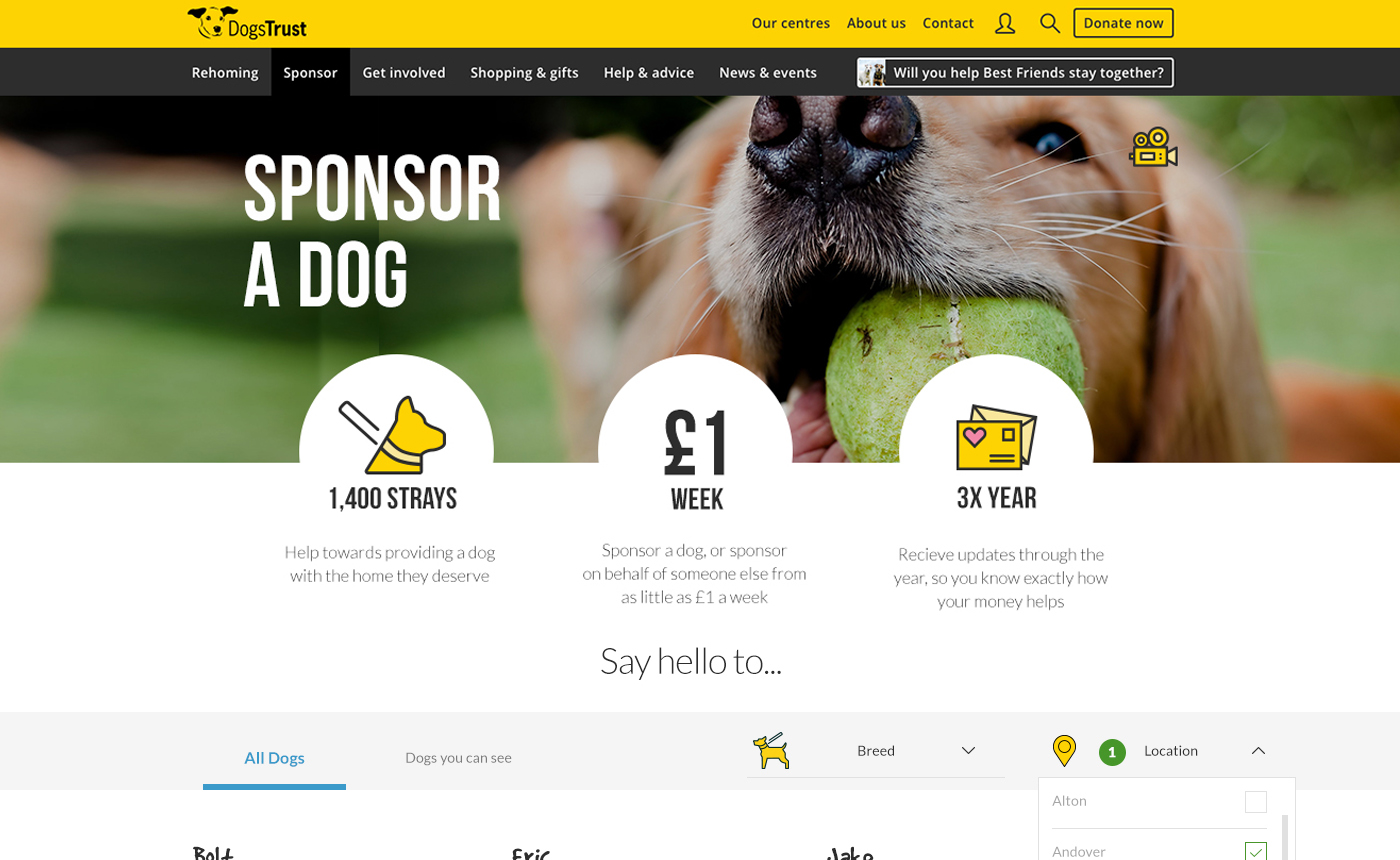 how much money does dogs trust raise per year